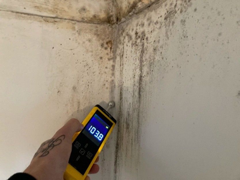 Schimmel op muur als gevolg van een vochtig huis