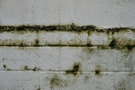 Vochtplekken op muur wijzen op vochtig in huis
