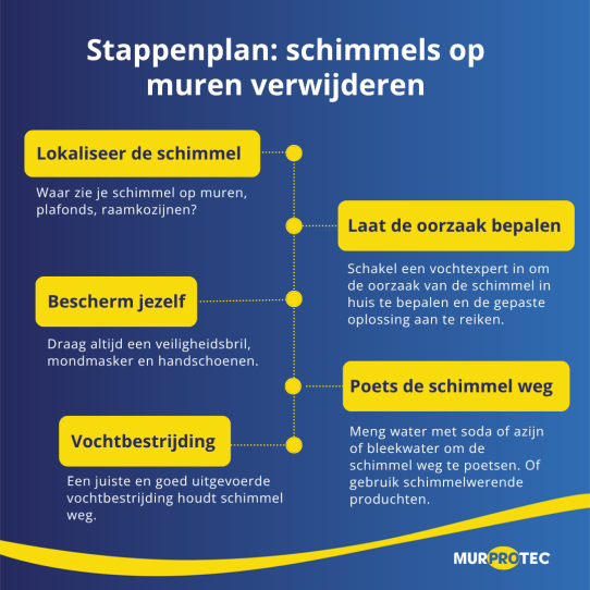 Stappenplan: schimmels op muren verwijderen 