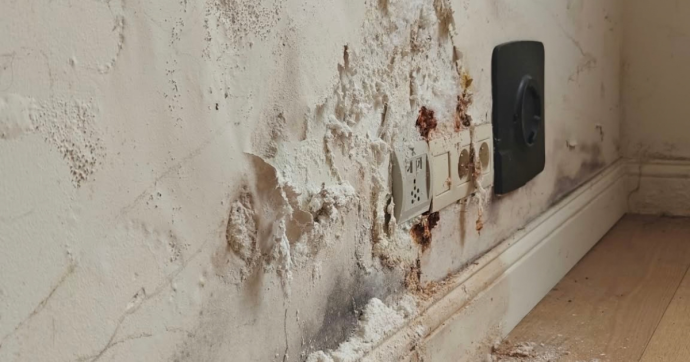 Moisissures sur les murs 