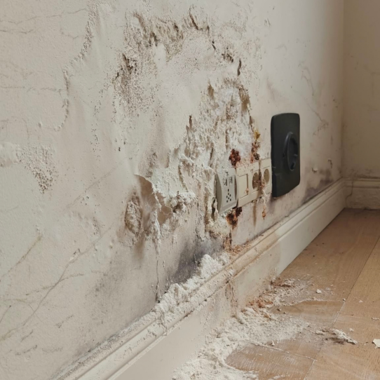 schimmel op de muur