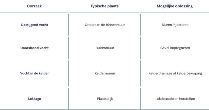 Oorzaak en oplossingen tegen salpeter op de muur