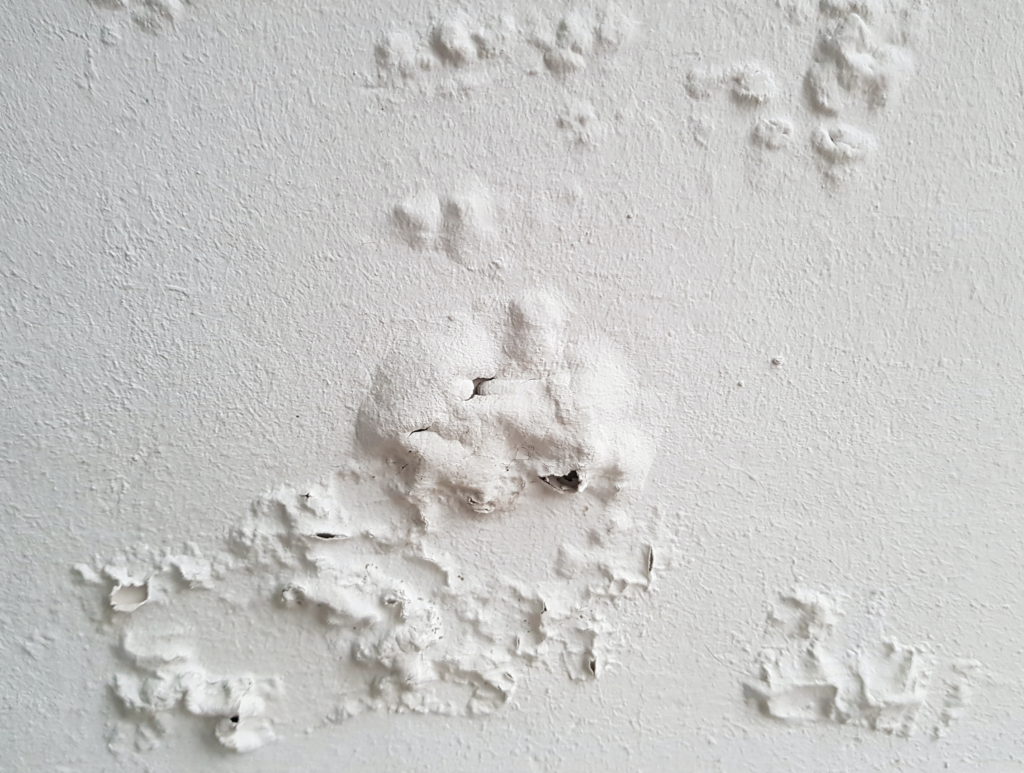Taches d’humidité sur les murs causes et solutions I Murprotec