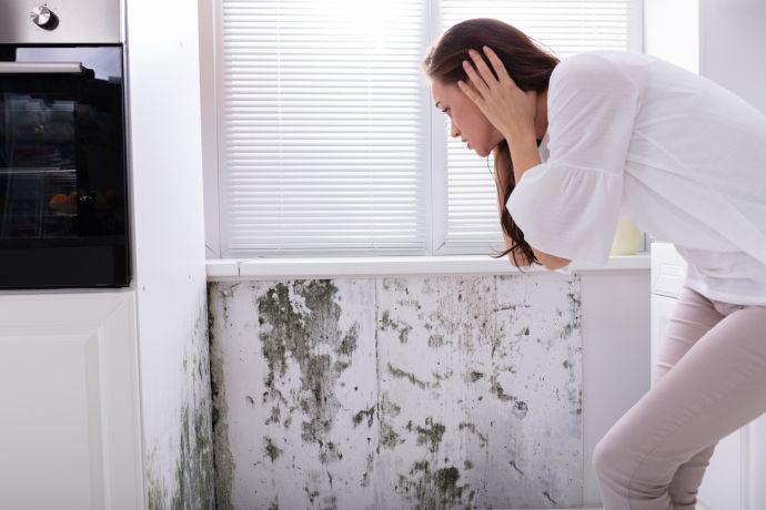 Une jeune femme regarde avec inquiétude les moisissures noires sur un mur
