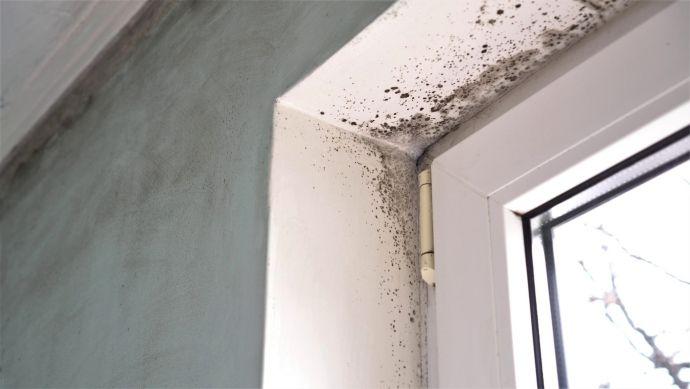Des moisissures noires sur une fenêtre montrent la nécessité d’un traitement contre l’humidité