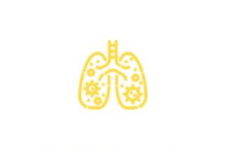 poumons 