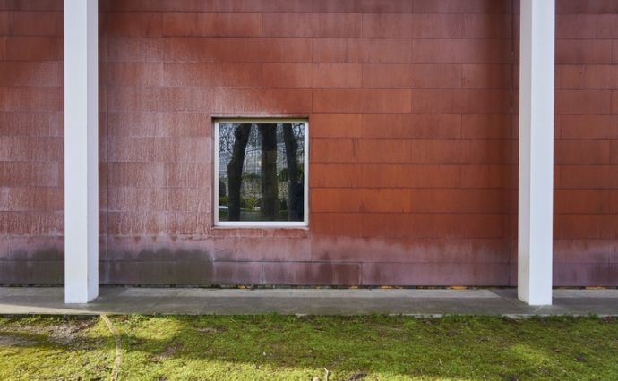 Présence de saleté et de mousse sur une façade extérieure humide