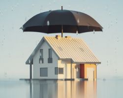 Protégez votre maison contre les dommages causés par une humidité persistante