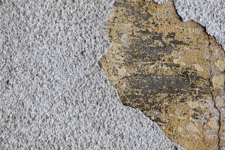 Symptôme des murs humides