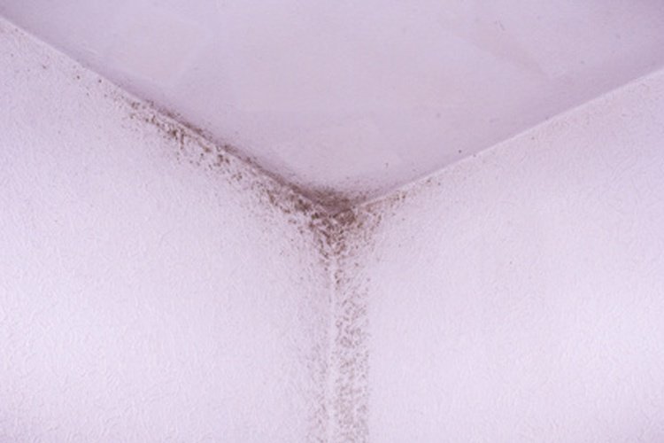 Que cachent les taches d’humidité sur vos murs