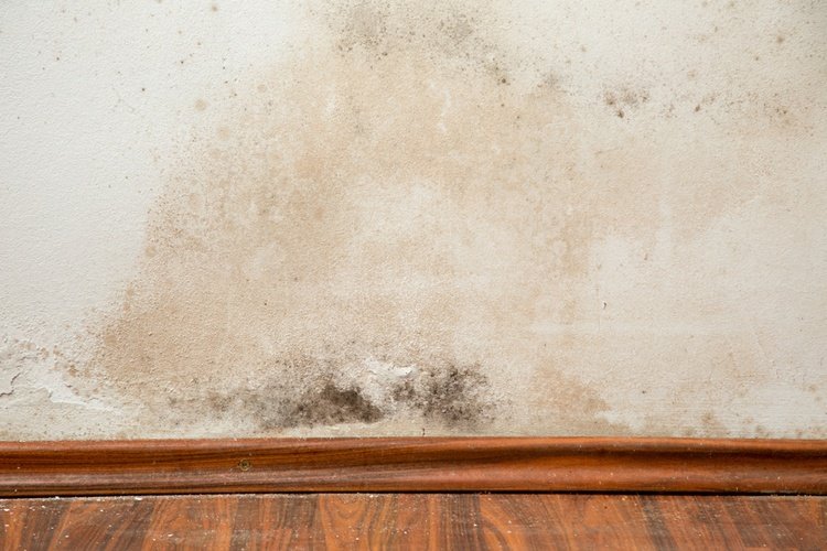 Quelles sont les solutions pour éliminer l’humidité d’un mur intérieur