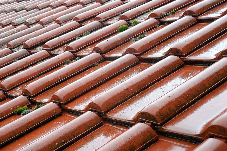 Infiltration d’eau dans les murs