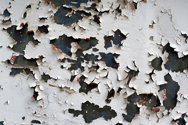 Les signes d’une cave humide