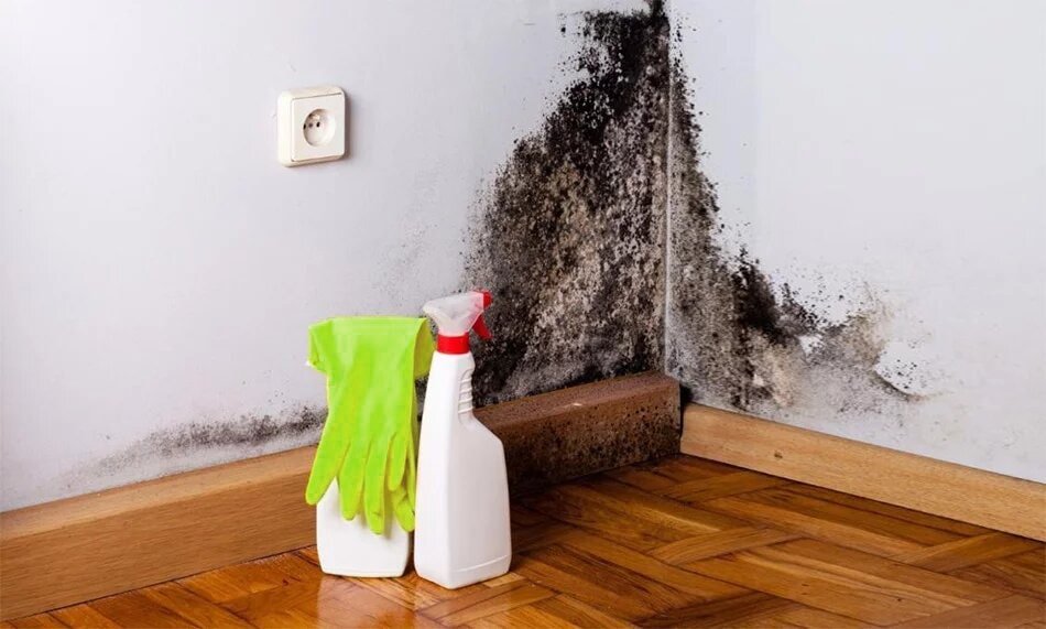 3 étapes pour résoudre les problèmes d’humidité dans un mur